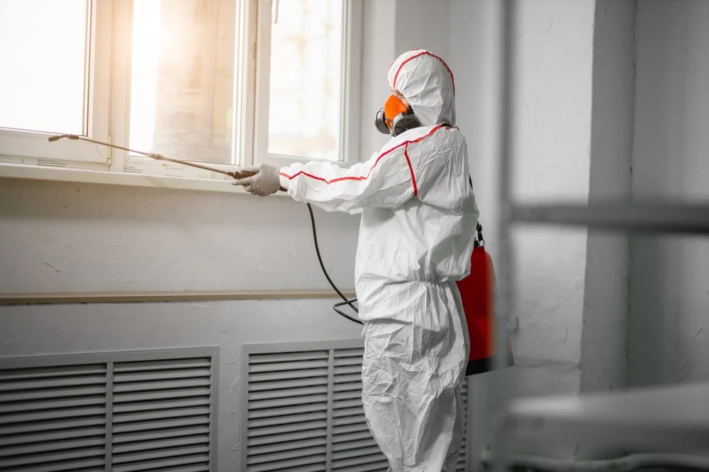 Professional mold remediation services in Hainesport, NJ